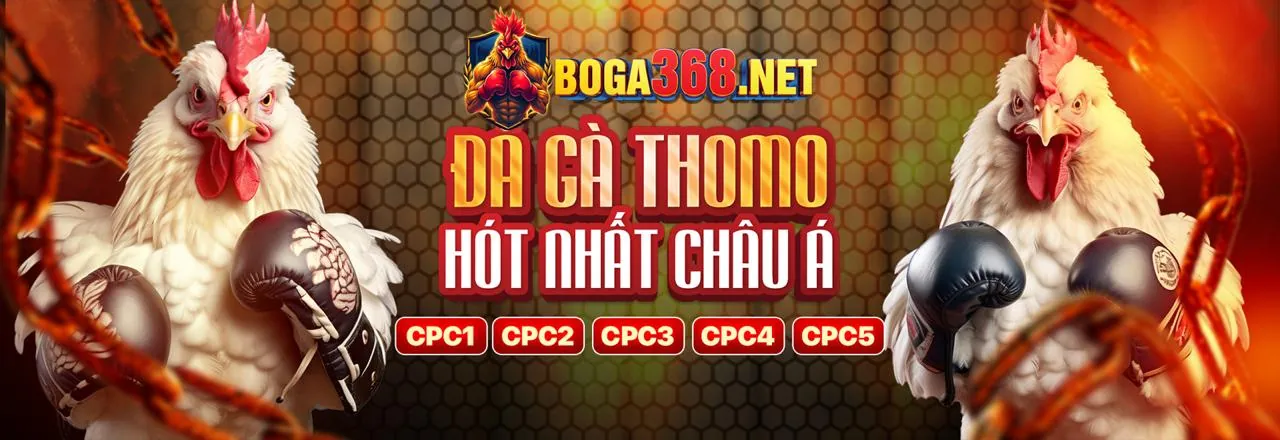 Trách nhiệm cờ bạc rio66